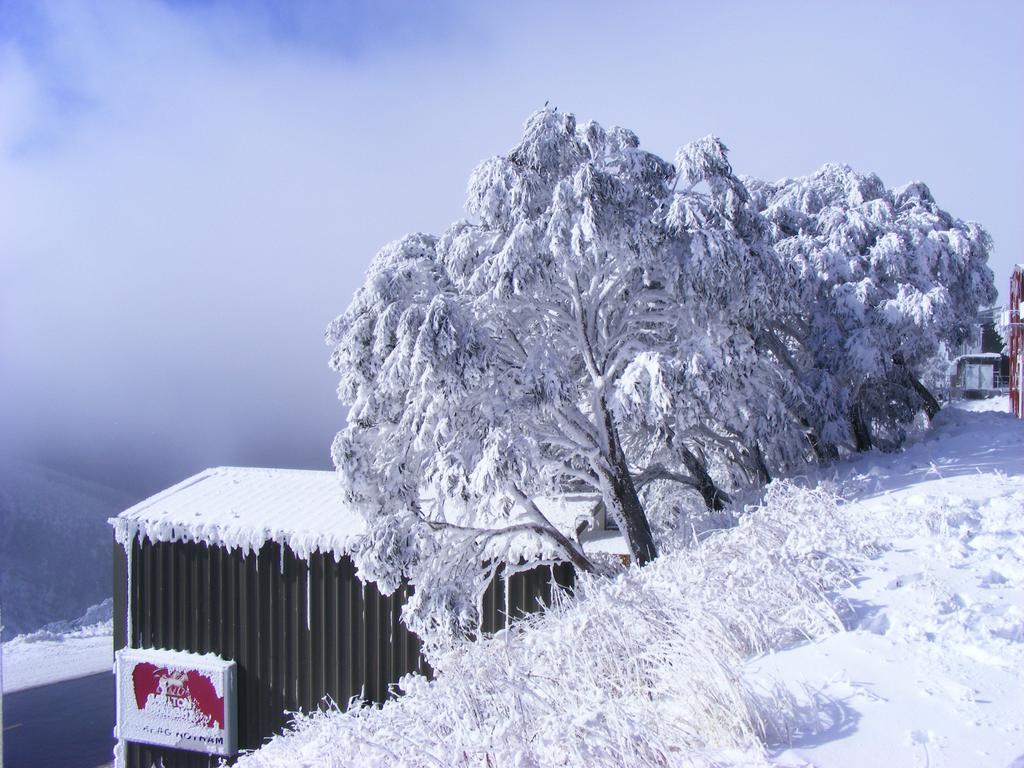 마운트 호섬 Arlberg Hotham 빌라 외부 사진
